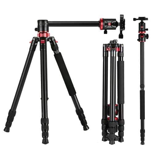 Zomei M8 Go Professional Camera Tripod